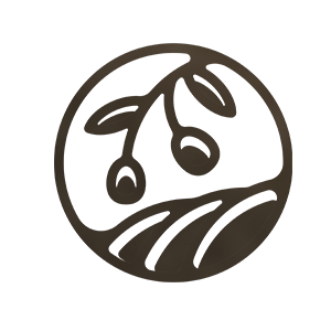 100% natives Olivenöl extra